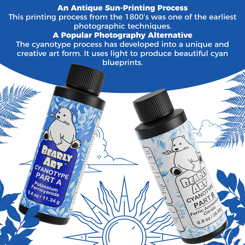 Bearly Art Cyanotype Kit