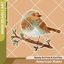 American Robin