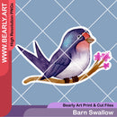 Barn Swallow