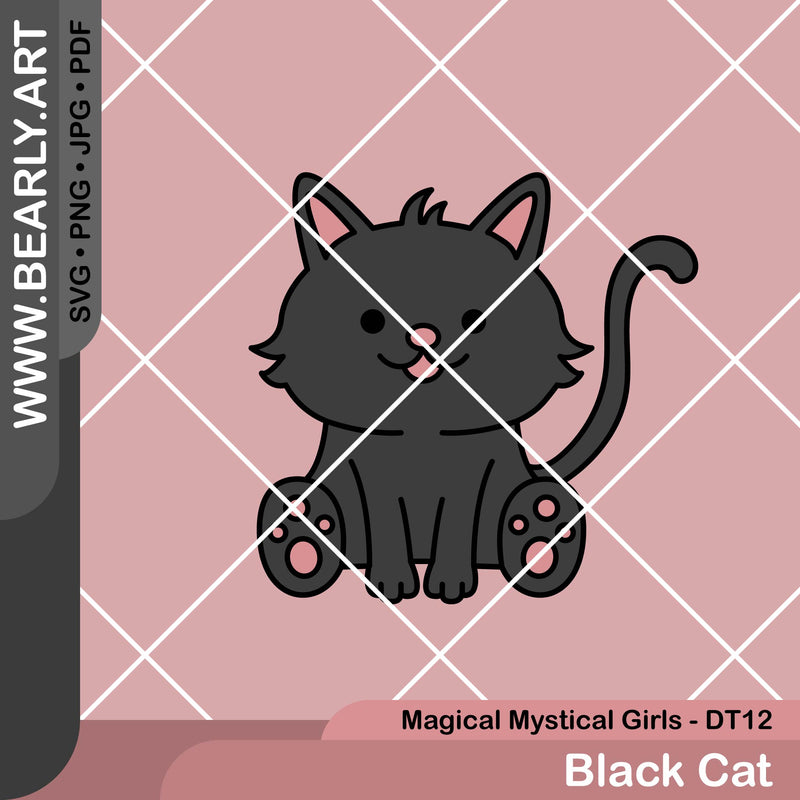 Black Cat - Design Team 12 - Magical Mystical Girls
