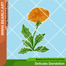 Delicate Dandelion