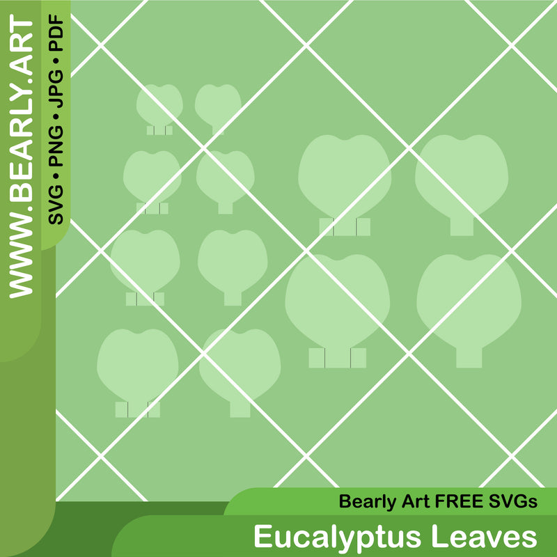Eucalyptus Leaves