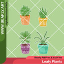 Leafy Plants