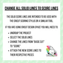 Polar Bear Shadowbox