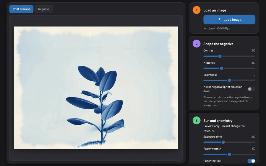 Cyanotype Negative Maker: Preview the blue print