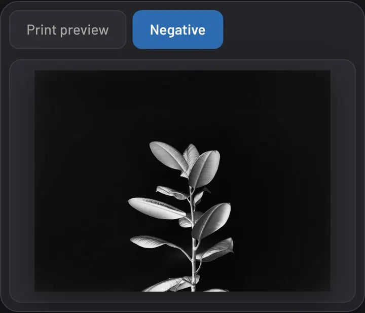 Cyanotype Negative Maker: Your photo becomes a negative