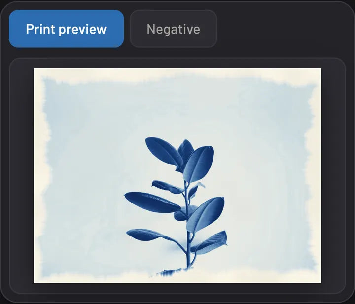 Cyanotype Negative Maker: Preview the blue print