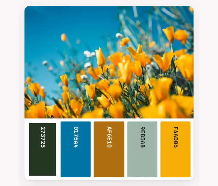 Palette Studio: Its palette, with hex codes