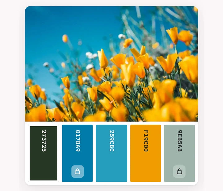 Palette Studio: Reshuffle and lock colors