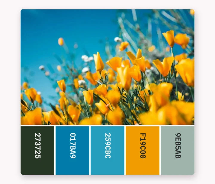 Palette Studio: Download it