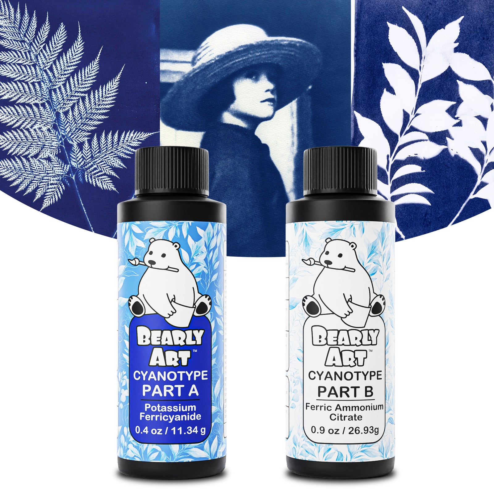 Bearly Art Cyanotype Kit