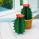 Cactus Decor