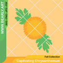 Captivating Chrysanthemum