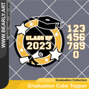 Graduation Cake Topper