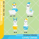 Lovely Llama