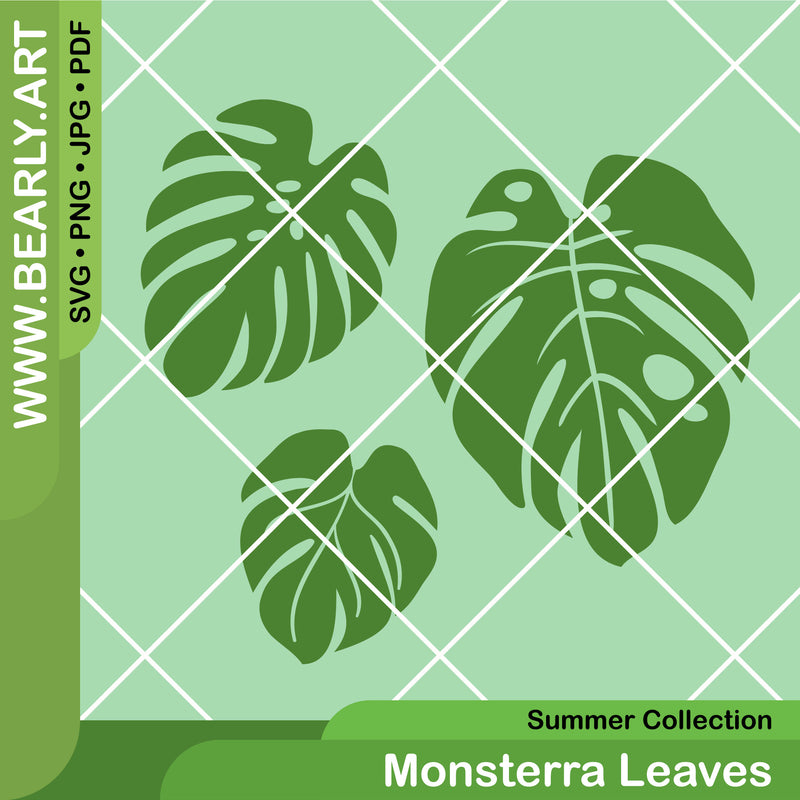 Monsterra Leaves