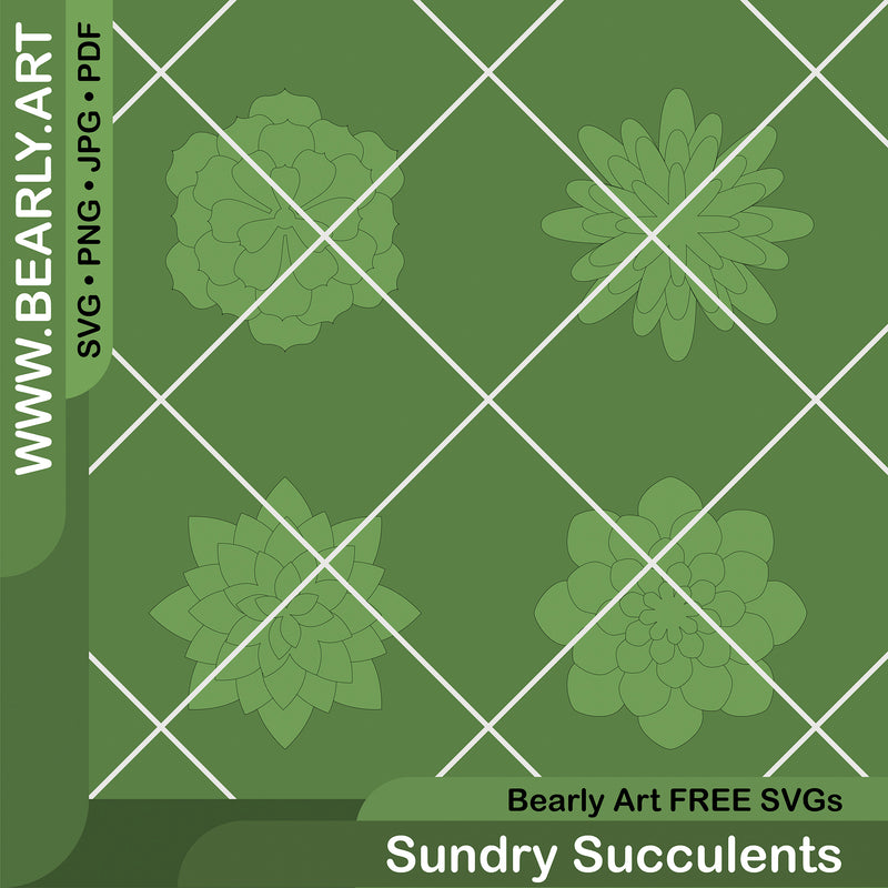 Sundry Succulents