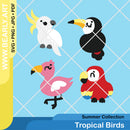 Tropical Birds