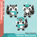 Winter Raccoons