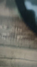 Halloween Scene Shaker Box from @CarolinasCreations_